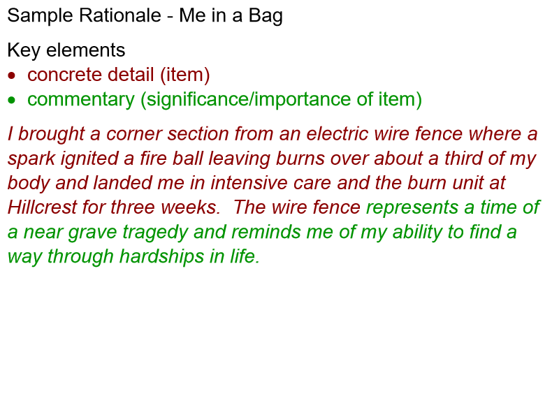 Rationale Sample for One Item of the Five Assigned